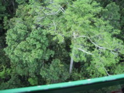 IMG_1103.JPG