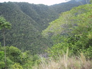 IMG_1124.JPG