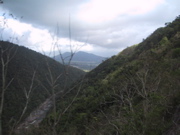 IMG_1125.JPG