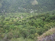 IMG_1129.JPG