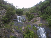 IMG_1133.JPG