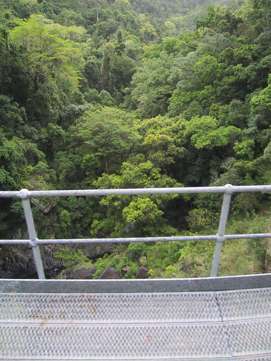 IMG_1134.JPG