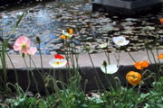 IMG_1009.JPG