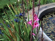 IMG_1010.JPG