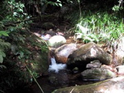 IMG_1037.JPG