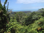 IMG_1049.JPG