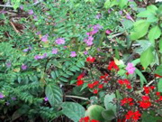 IMG_1052.JPG