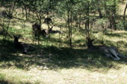 IMG_0887.JPG