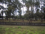 IMG_1142.JPG