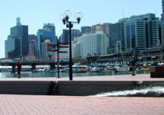 IMG_0929.JPG