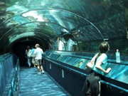 IMG_0947.JPG