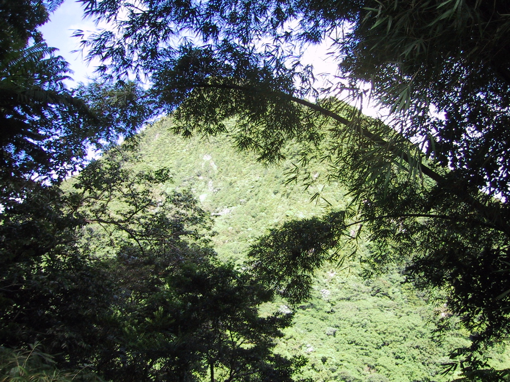 IMG_0479.JPG
