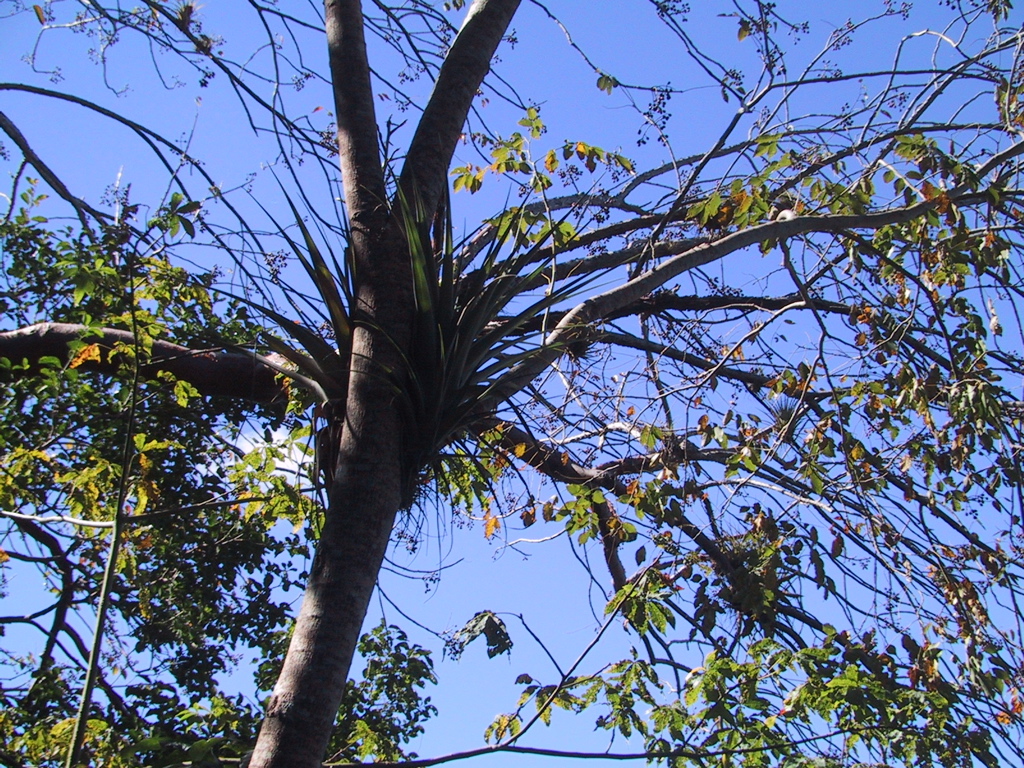 IMG_0526.JPG