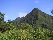 IMG_0478.JPG