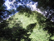 IMG_0479.JPG