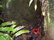 IMG_0481.JPG