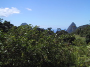 IMG_0484.JPG