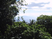 IMG_0491.JPG