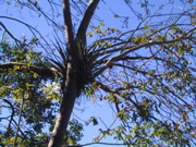 IMG_0526.JPG