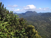 IMG_0528.JPG